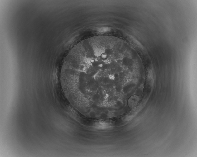 X0000112830565200908281534