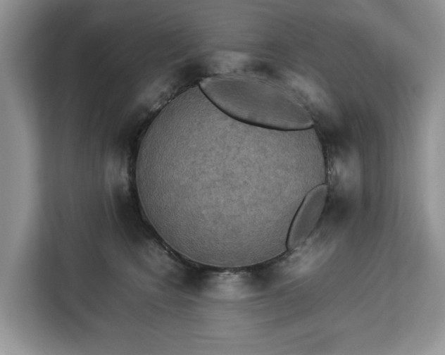 X0000112830566200908281534