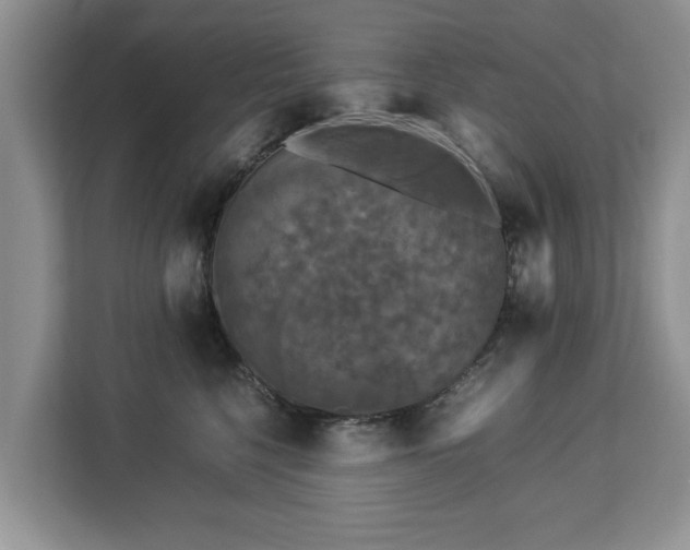 X0000112830568200908281534