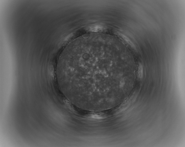 X0000112830569200908281534