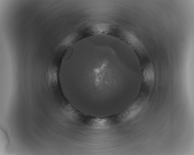 X0000112830570200908281534