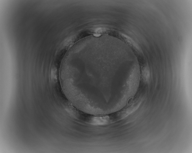 X0000112830571200908281534