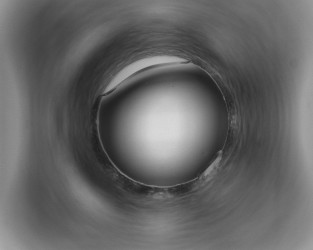 X0000112830572200908281534