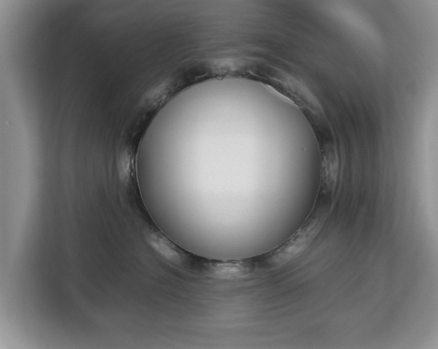 X0000112830574200908281534