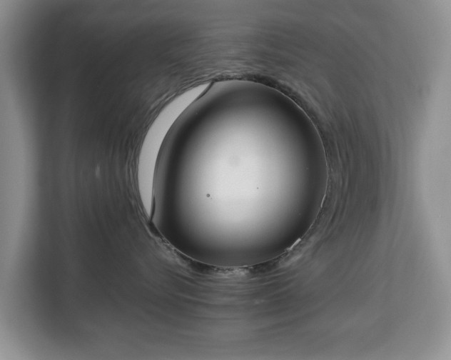 X0000112830576200908281534