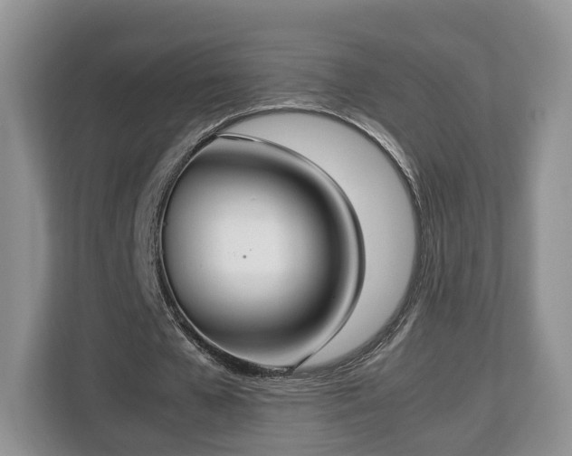 X0000112830577200908281533