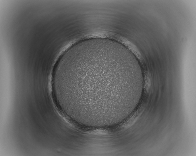 X0000112830578200908281533