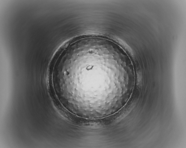 X0000112830580200908281533