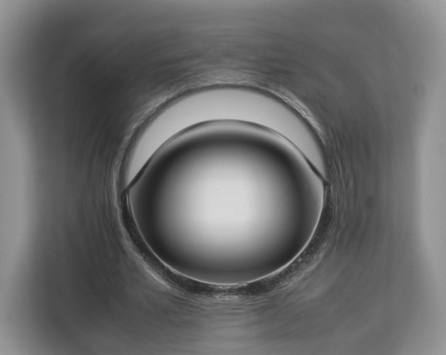 X0000112830581200908281533