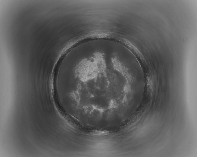 X0000112830582200908281533