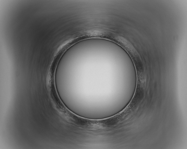 X0000112830583200908281533