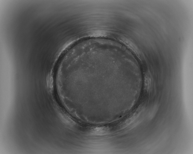 X0000112830584200908281533