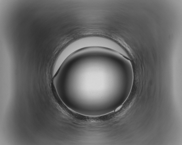 X0000112830585200908281533