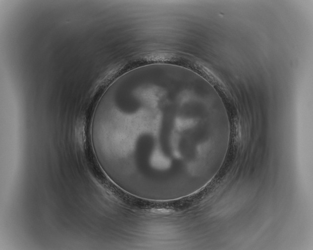 X0000112830586200908281533