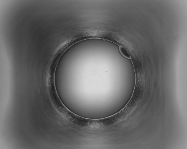 X0000112830587200908281533