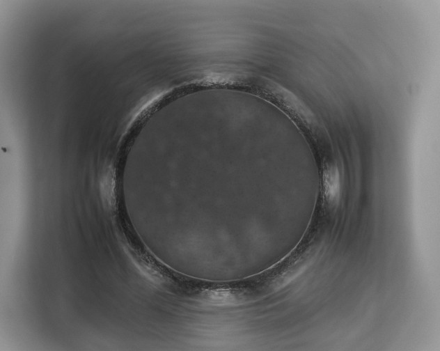 X0000112830588200908281533