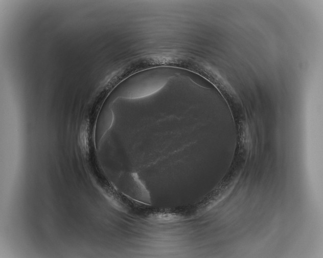 X0000112830590200908281533