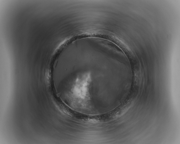 X0000112830592200908281533