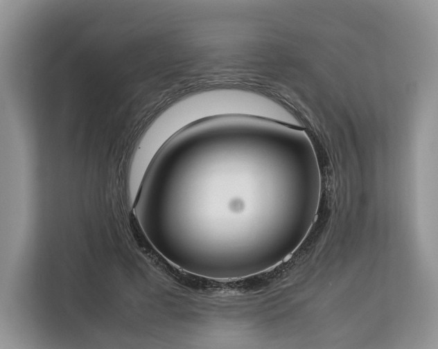 X0000112830593200908281533