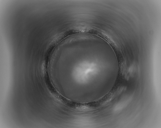 X0000112830594200908281533