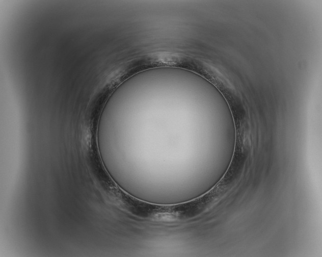 X0000112830595200908281533