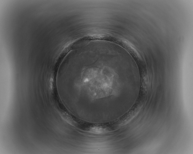 X0000112830596200908281533