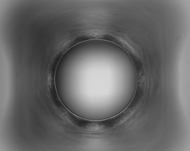 X0000112830597200908281533