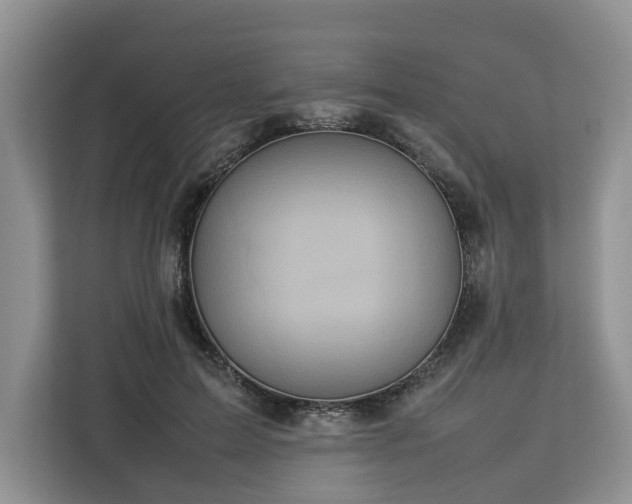 X0000112830599200908281533