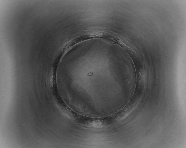 X0000112830600200908281533