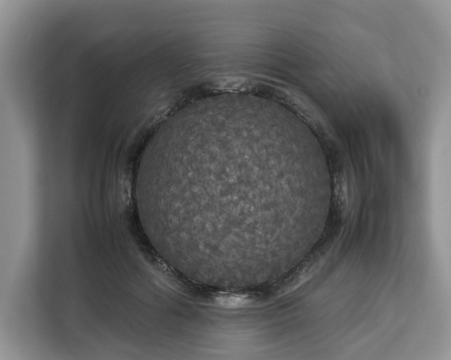 X0000112830602200908281533