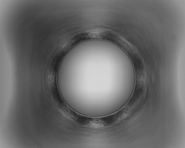 X0000112830603200908281533