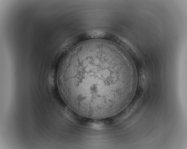 X0000112830604200908281533