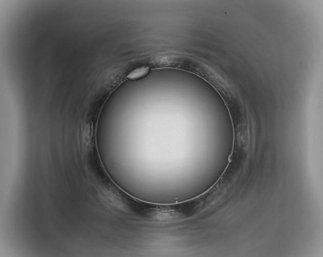 X0000112830605200908281533