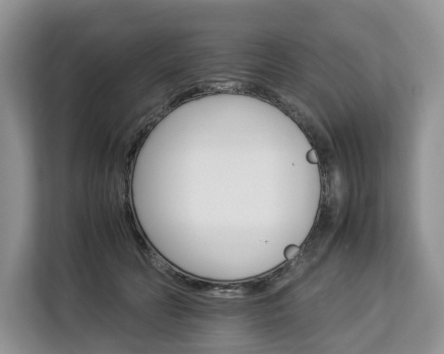 X0000112830606200908281533