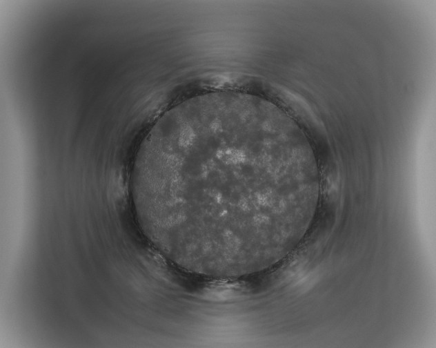 X0000112830607200908281533