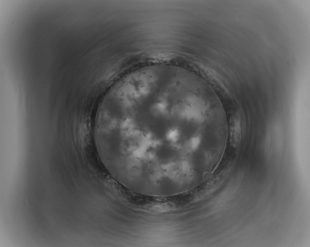 X0000112830608200908281533