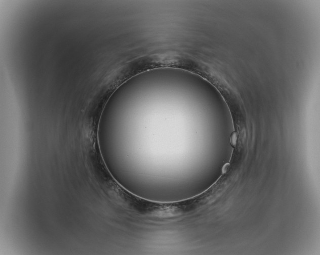 X0000112830609200908281533