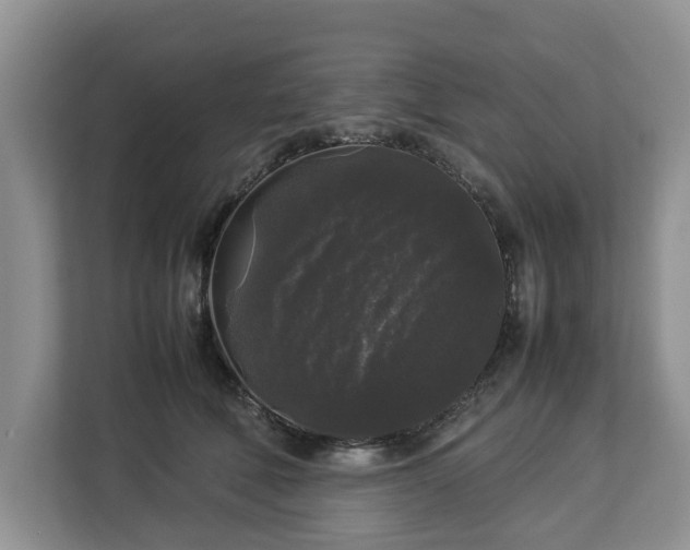 X0000112830610200908281533