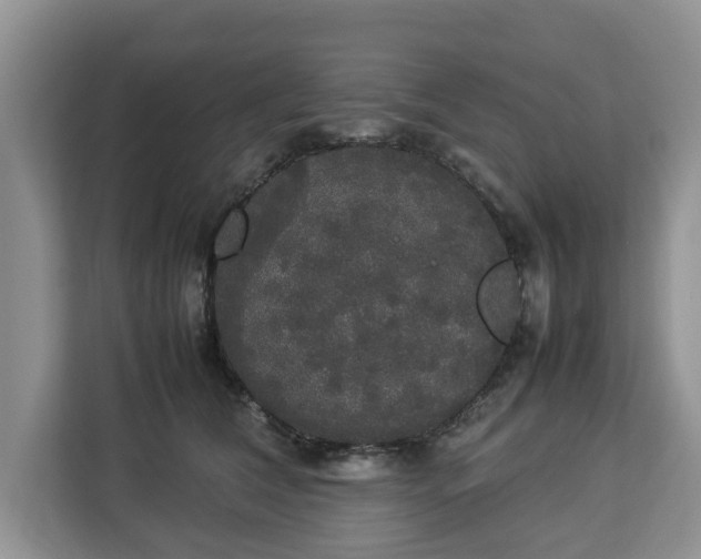 X0000112830612200908281533