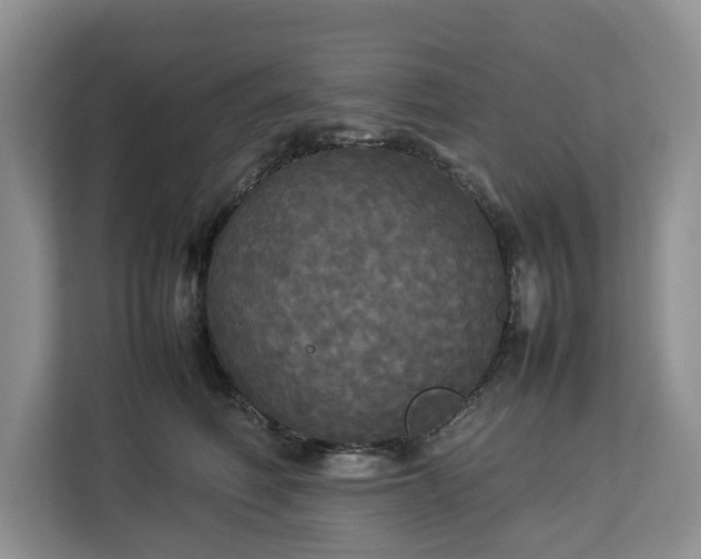 X0000112830614200908281533