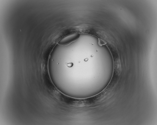 X0000112830615200908281533