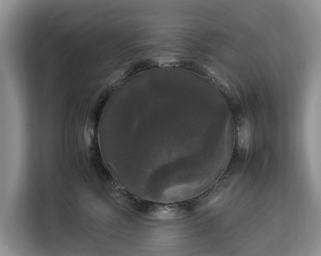 X0000112830618200908281533