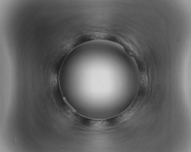 X0000112830621200908281533