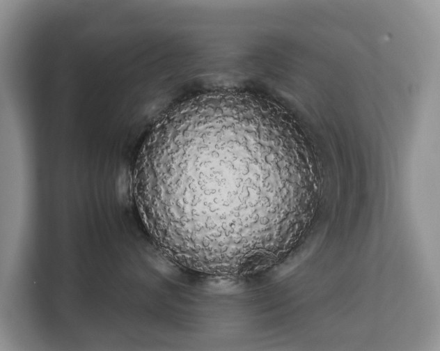 X0000112830624200908281533