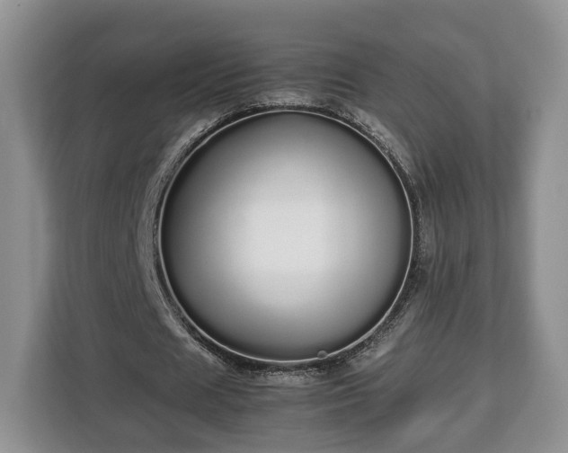 X0000112830625200908281532