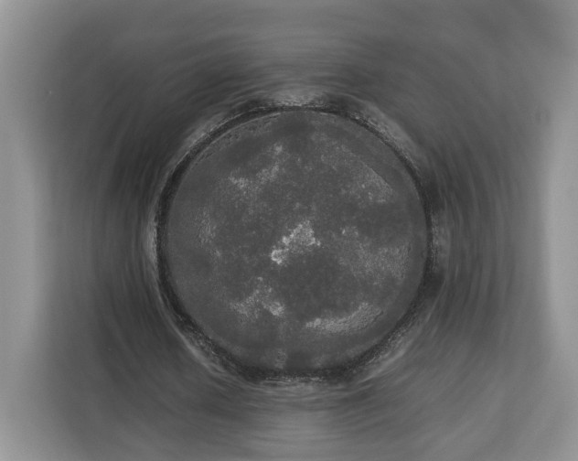 X0000112830626200908281532