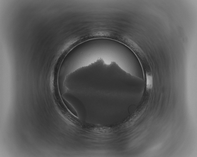 X0000112830627200908281532