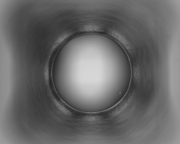 X0000112830629200908281532