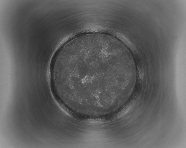 X0000112830630200908281532