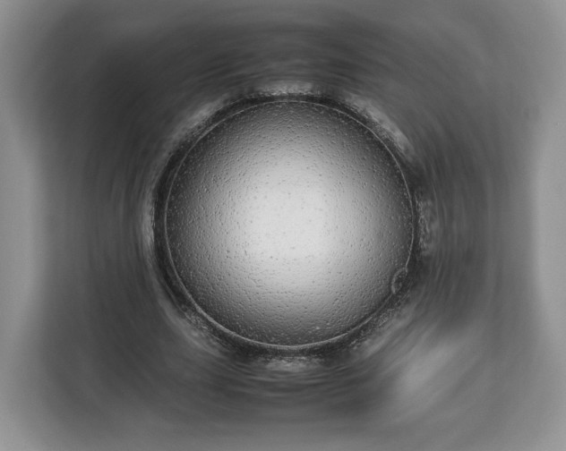 X0000112830631200908281532